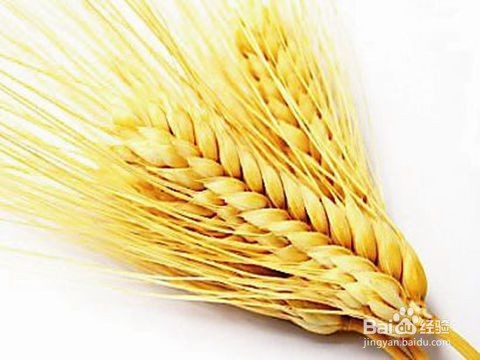 宝宝厌食了,妈妈食疗来帮忙