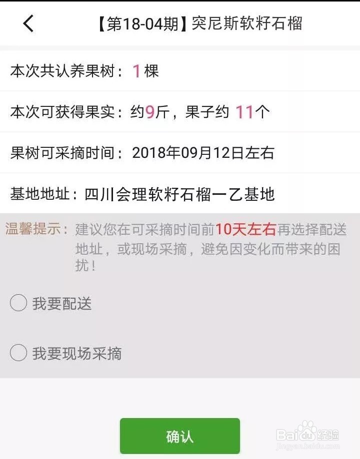 突尼斯软籽石榴开启认种啦!