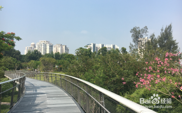 厦门山海步道游玩攻略