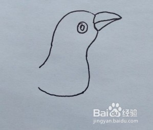 简笔画：一只小乌鸦