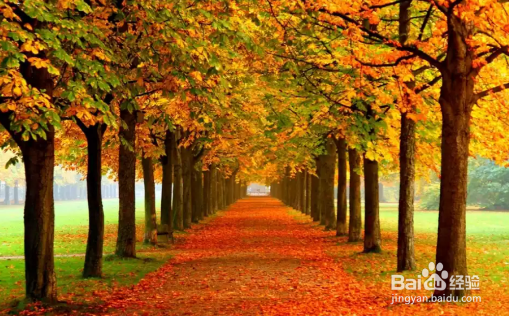 如何对待人生不同境遇？