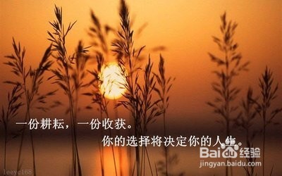 一见面就付出所有真心真的会结交到真朋友吗