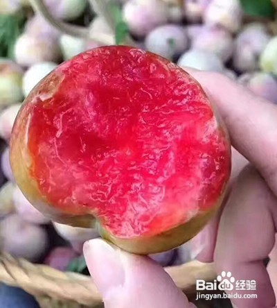 李子的吃法有哪些