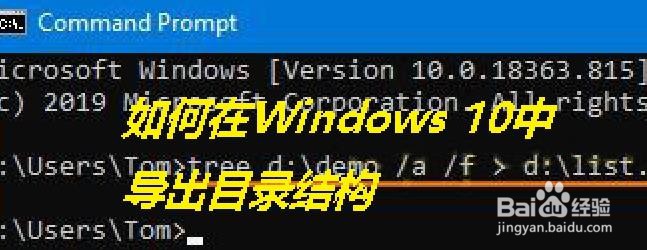 如何在Windows 10中导出目录结构