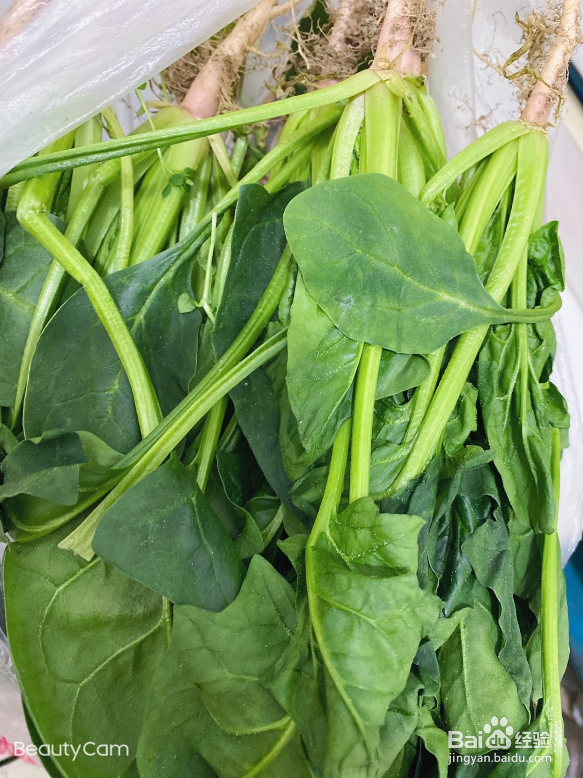 凉拌菠菜的做法