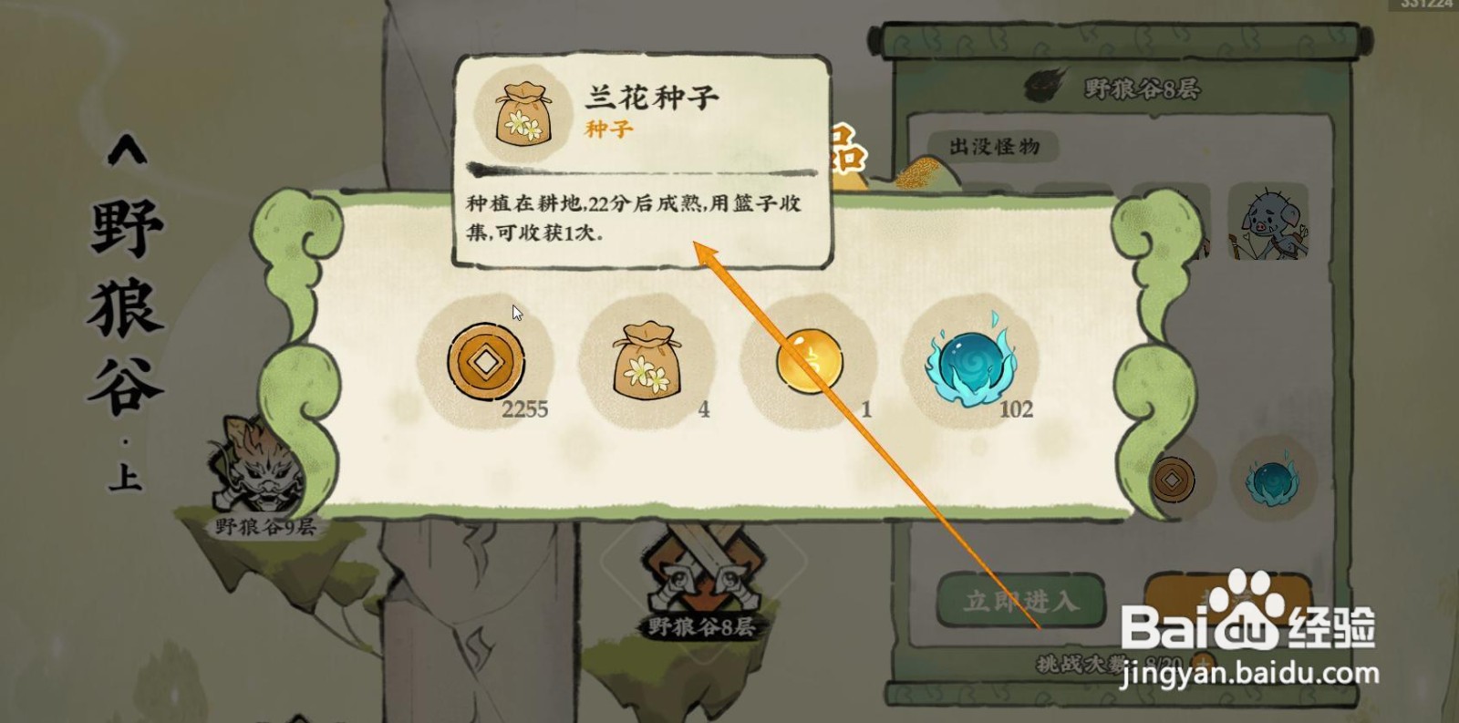 仙山小农如何获得兰花种子