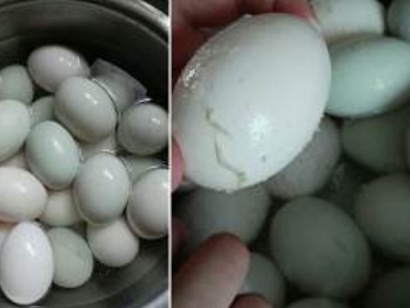 盐鸭蛋的几种做法