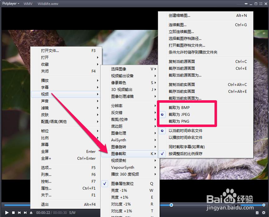 potplayer截图方法