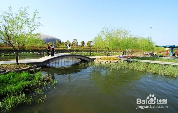 十二星座奶茶店怎么选址？