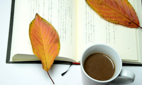 十四个字以上的网名