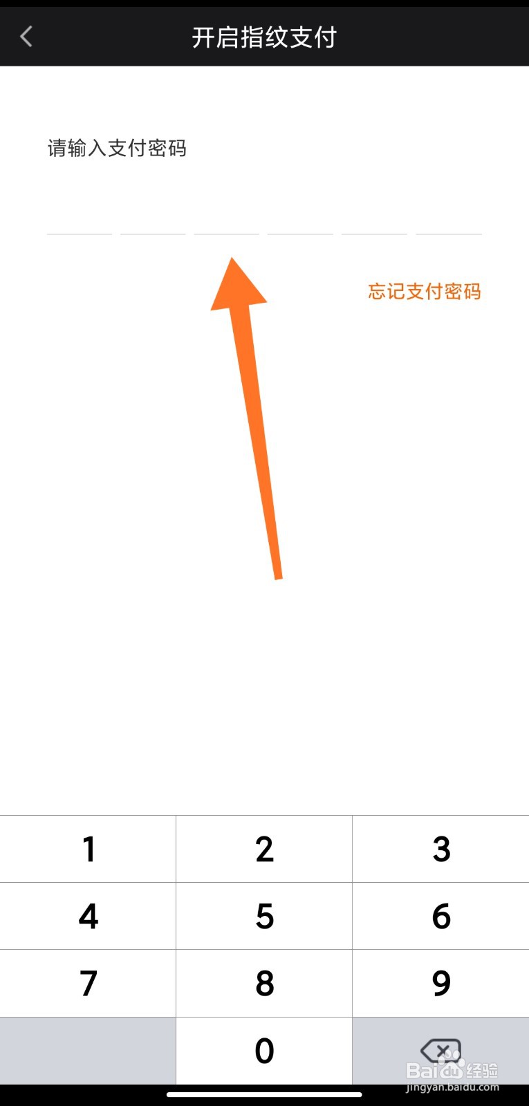 爱奇艺钱包怎么开启指纹支付