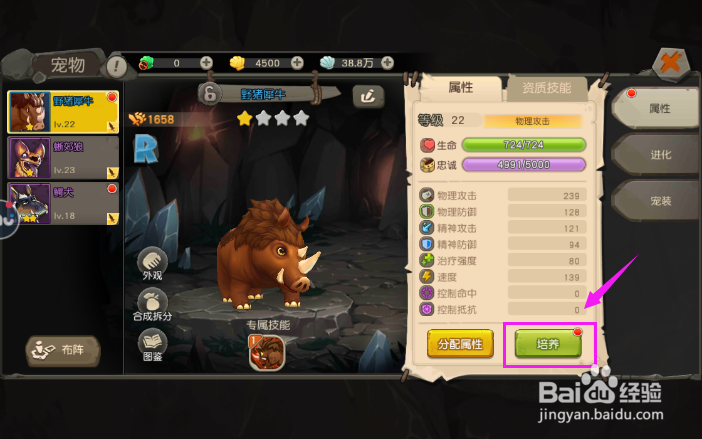 疯狂原始人怎么培养宠物