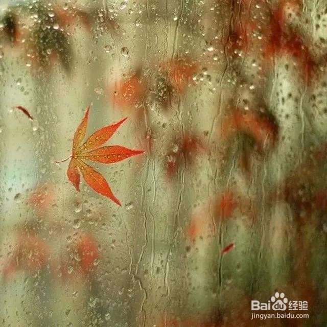 七个摄影小技巧,让你在雨天也能拍出好照片