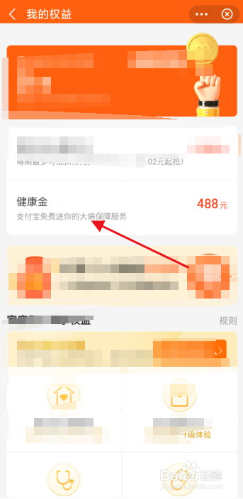 支付宝如何查看健康金明细