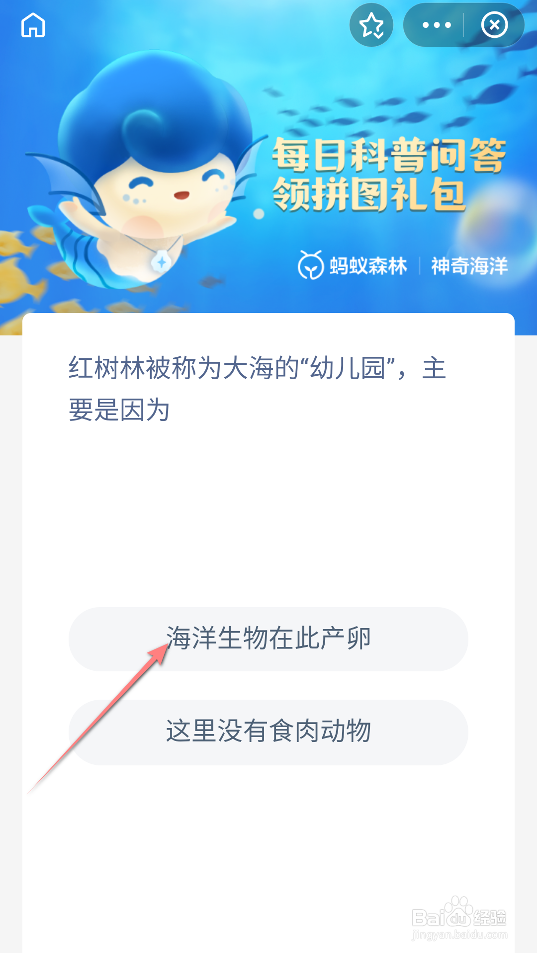 神奇海洋红树林被称为大海的幼儿园主要是因为