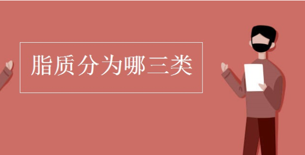 脂质分类三大类是什么