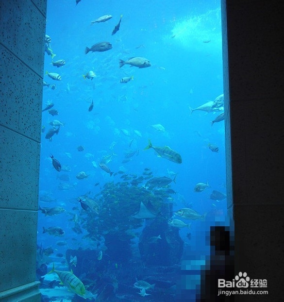 迪拜速攻!提供最简单最有效的信息