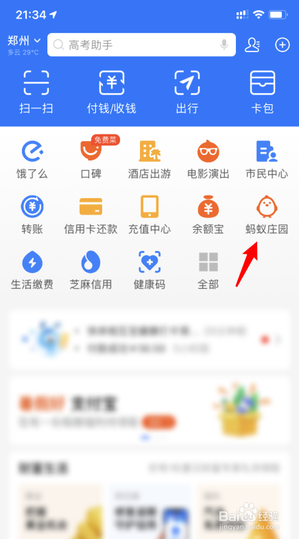 蚂蚁庄园怎么修改小鸡的名字