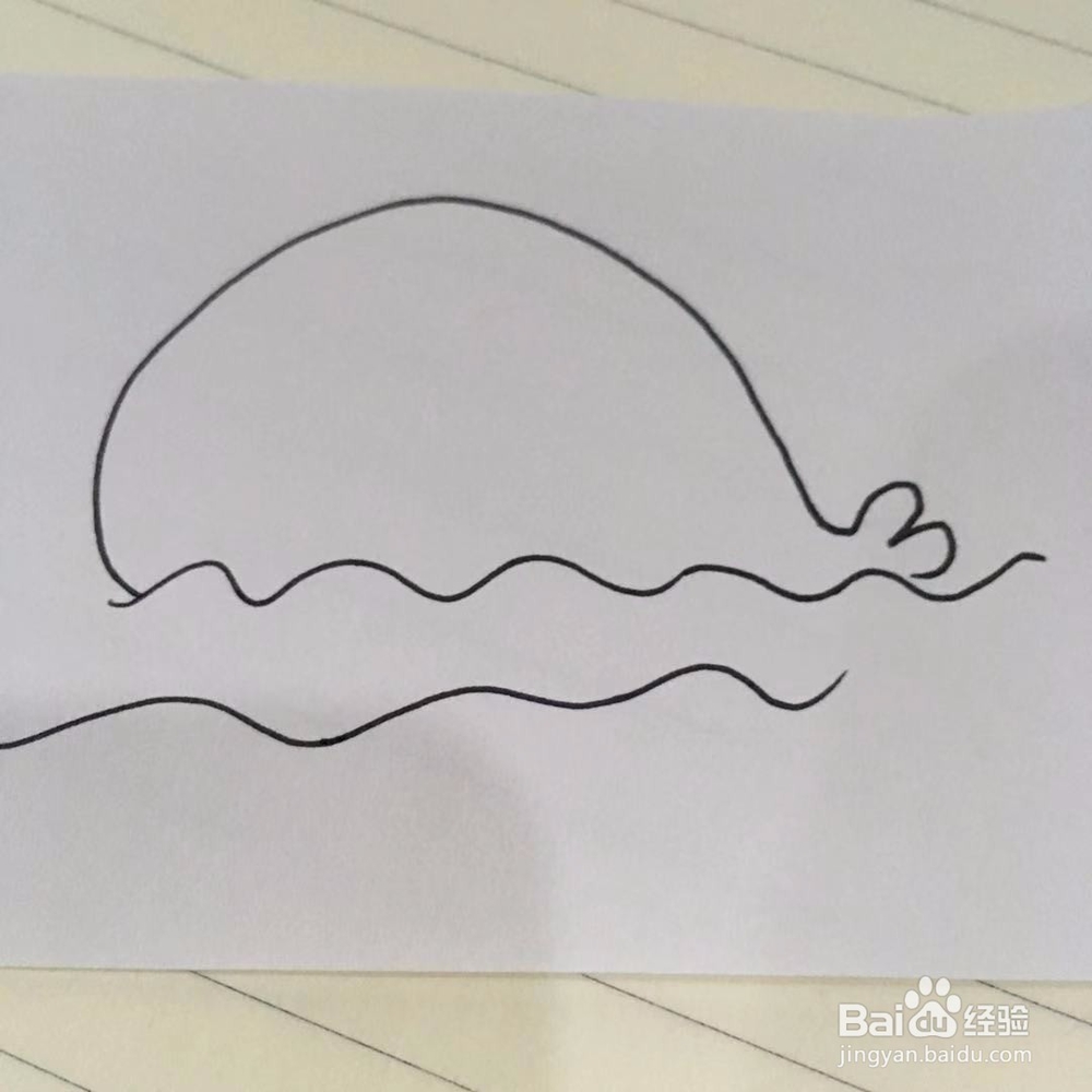 简单画鲸鱼在喷水