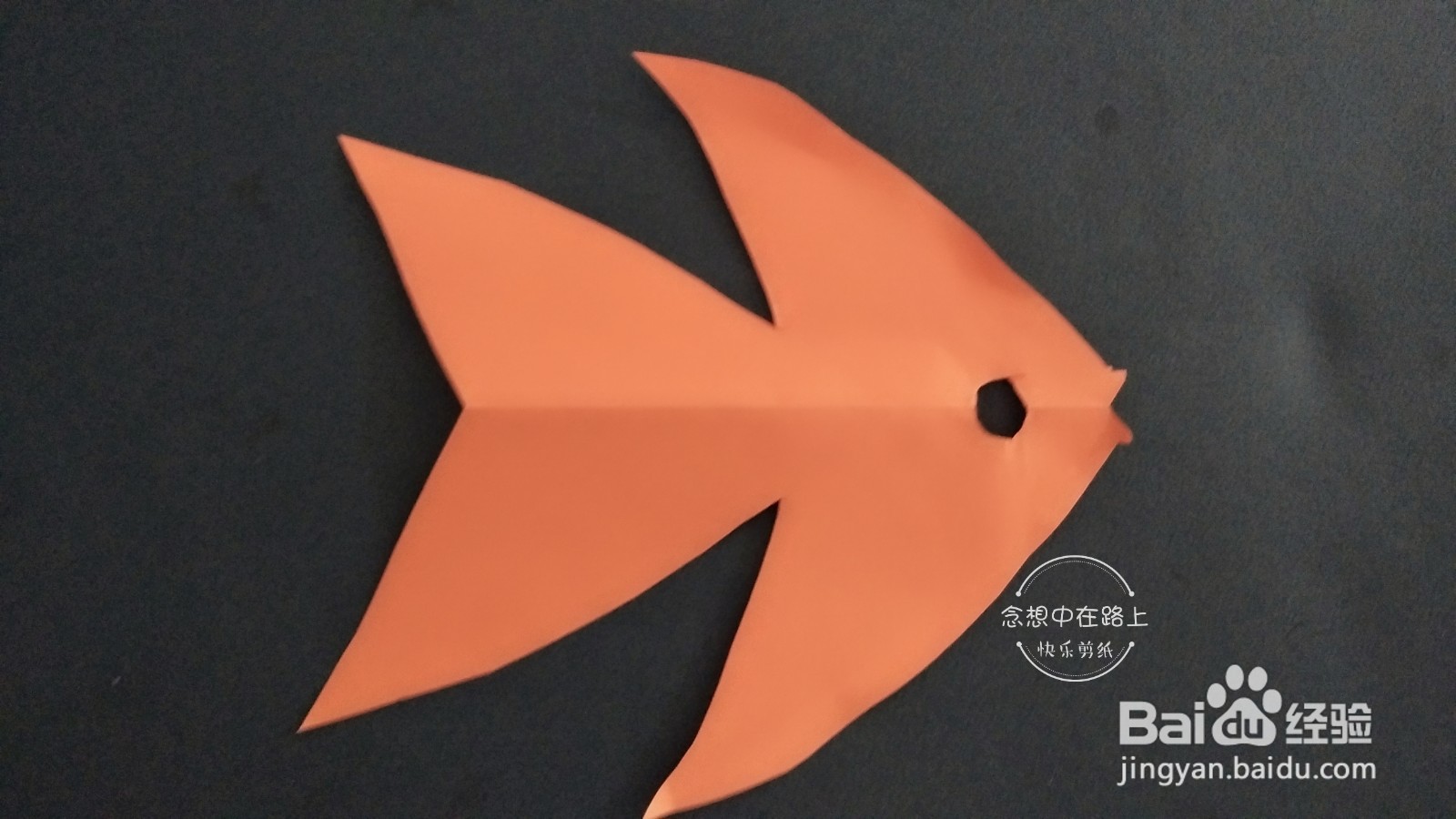 幼儿园小朋友学剪纸 一条热带鱼