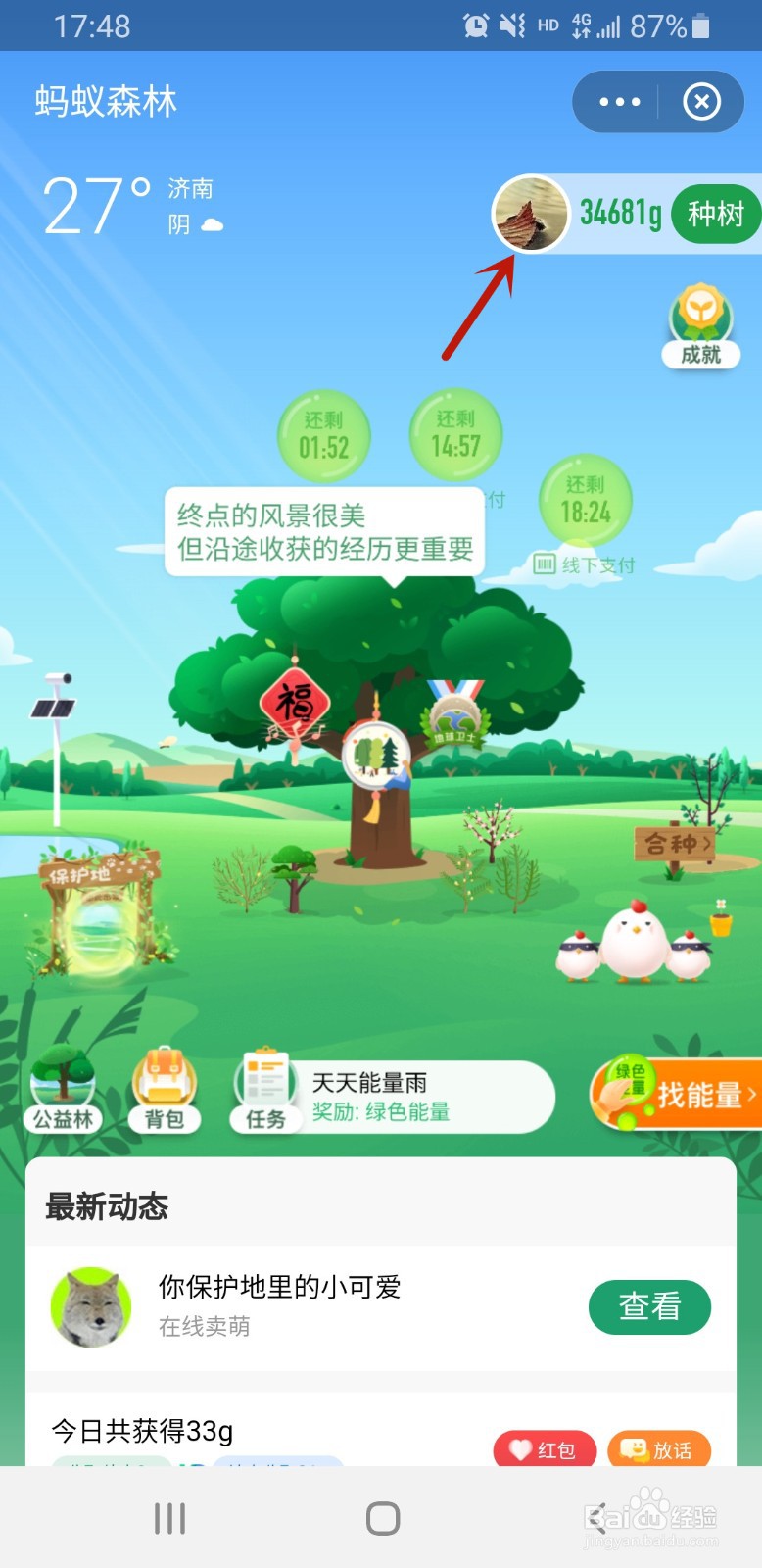 支付宝的蚂蚁森林如何查看碳足迹
