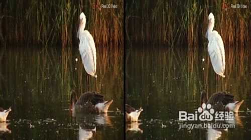 左右格式3d怎么看?左右转红蓝,1步到位