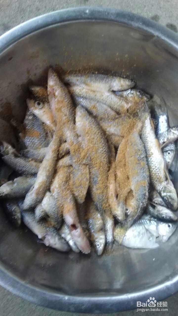 农家油炸小草鱼,油炸小焦鱼的方法