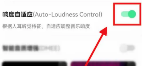 QQ音乐怎么设置响度自适应?