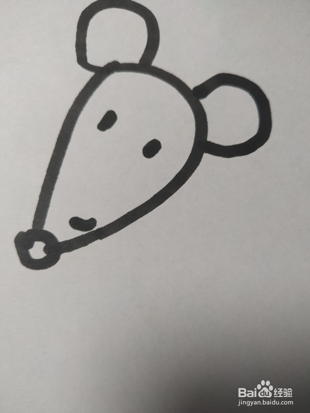 老鼠的简笔画技法17