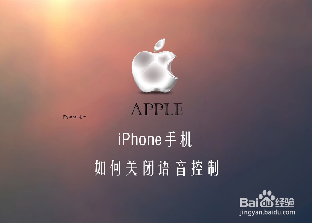 <b>iPhone手机如何关闭语音控制</b>