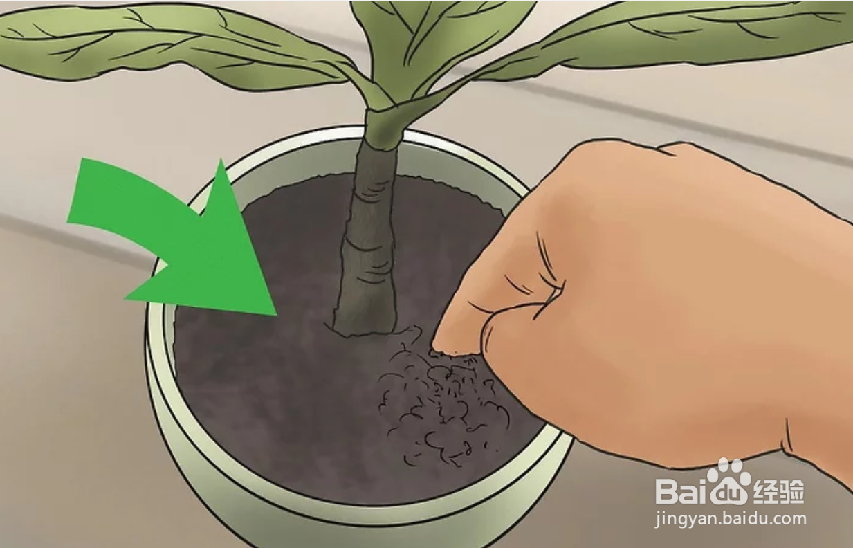 如何在房间里藏东西