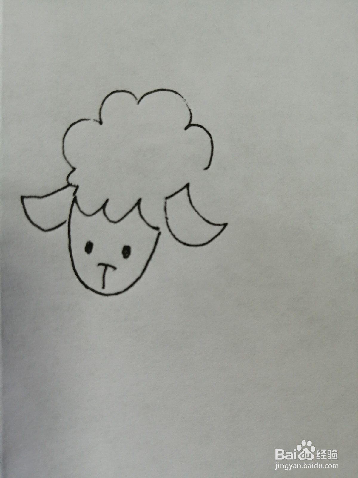 可爱的小绵羊怎么画
