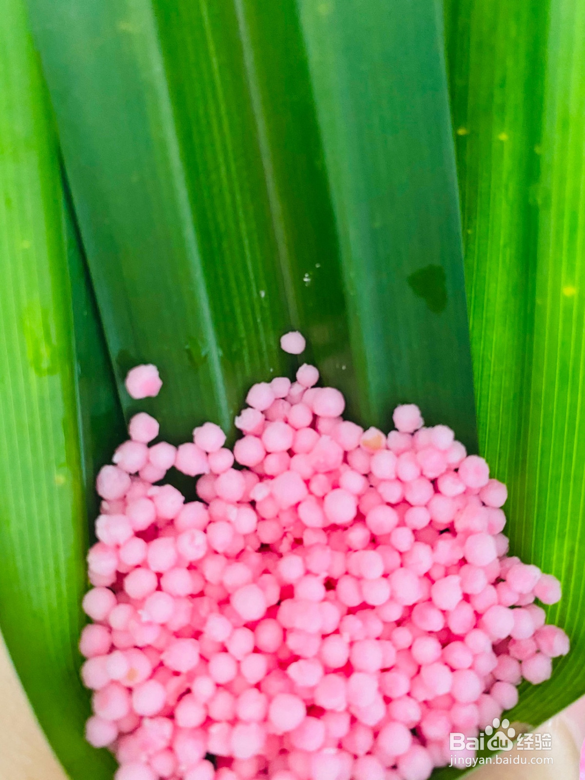 三色粽子的做法