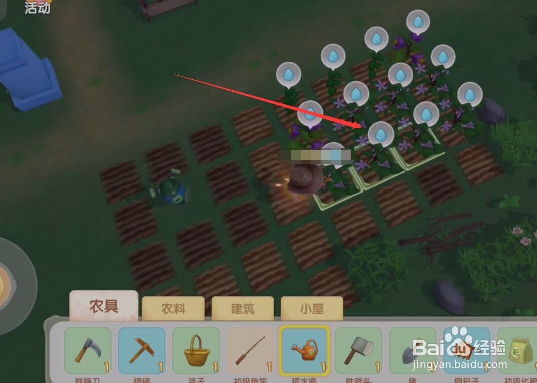 摩尔庄园手游怎么一次给多个植物浇水