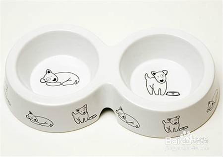 收养流浪狗你需要准备哪些？