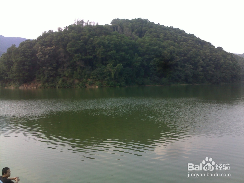 广州火凤线攻略