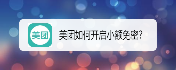 美团如何开启小额免密