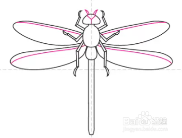 如何绘制蜻蜓