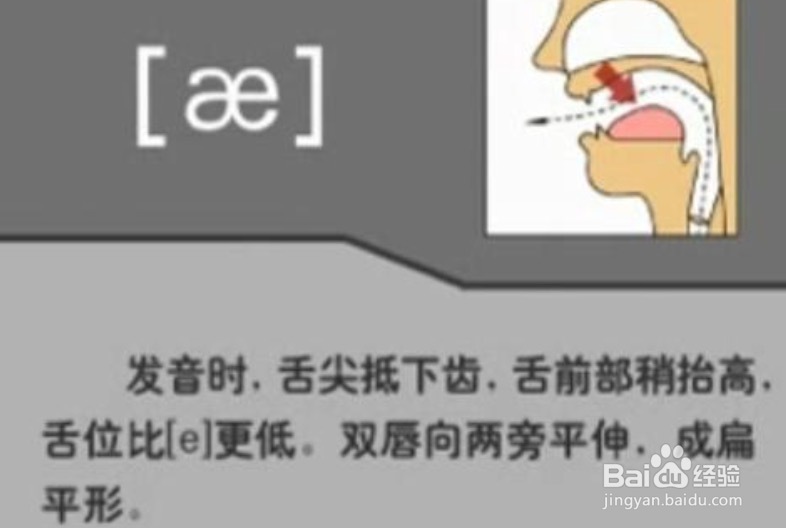 <b>小学学好语文的步骤</b>