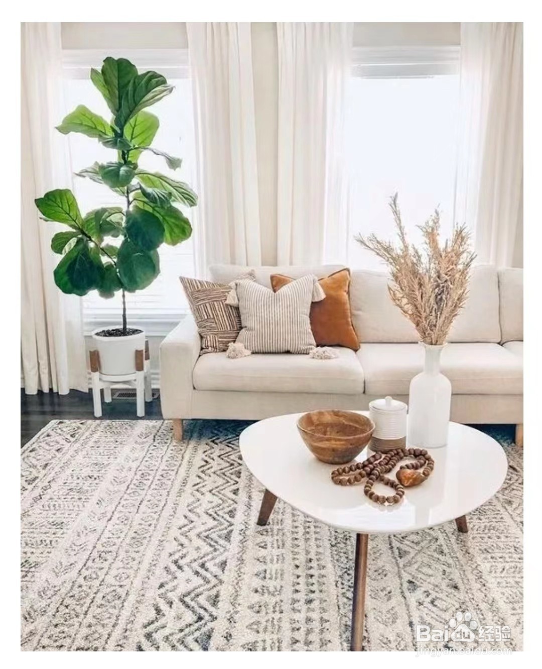 琴叶榕室内搭配攻略