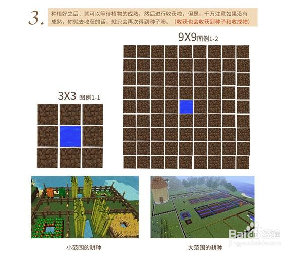 自给自足解决温饱 我的世界食材基础攻略
