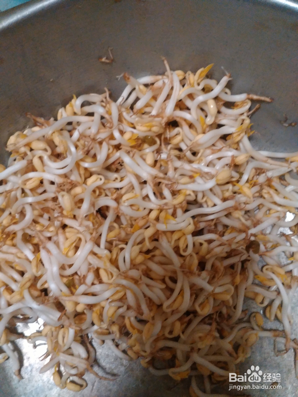 春节：初二的面