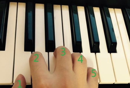 电子琴各音符对应的手指是什么