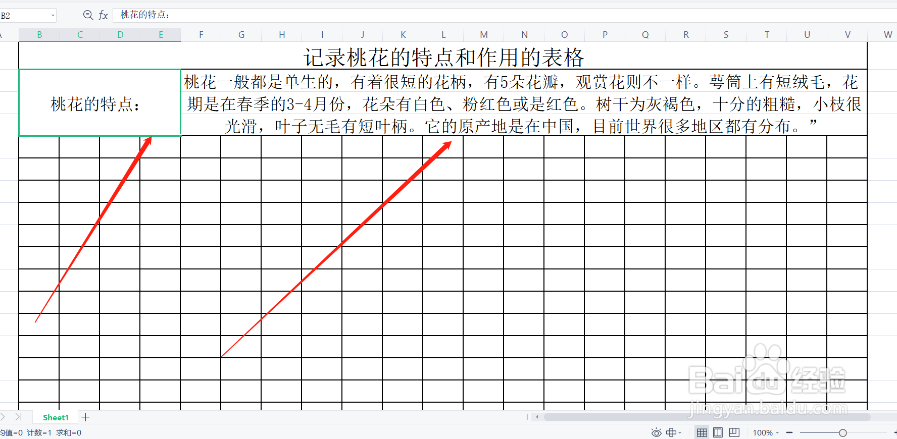 桃花有什么特点和作用