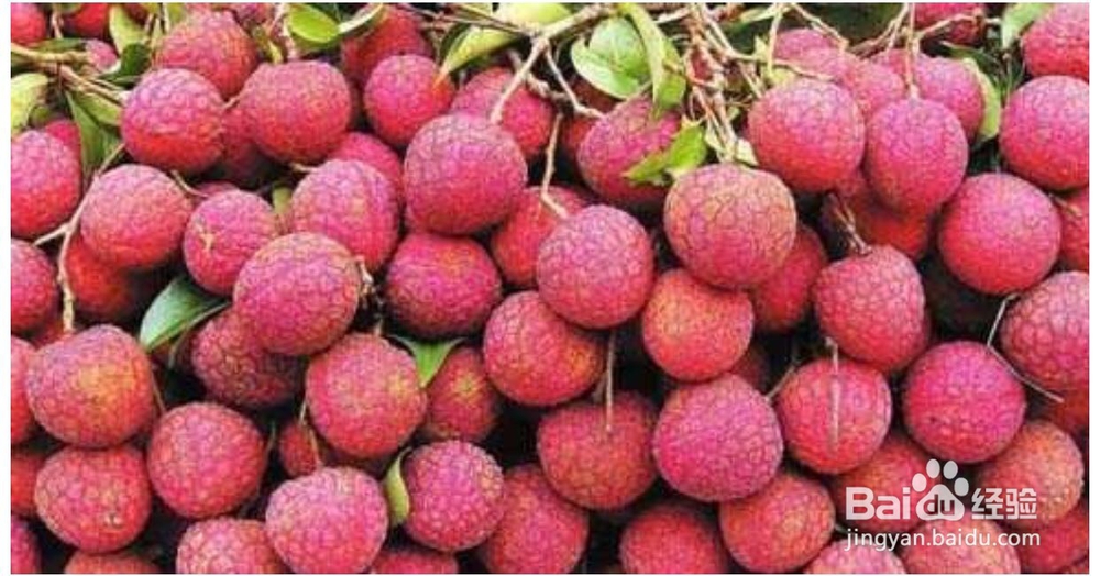 荔枝怎么选才好