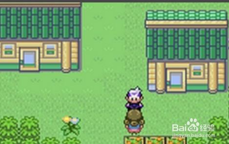 口袋妖怪漆黑的魅影5.0捷克罗姆怎么抓？