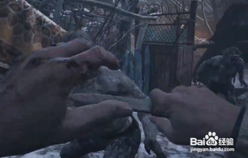 生化危机8怎么玩好