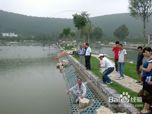 钓鲫鱼时怎样识别浮漂上的信号