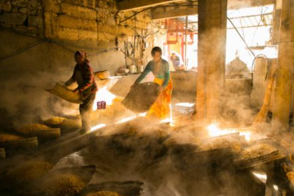 230斤粮食出的120斤酒每斤粮食出多少酒