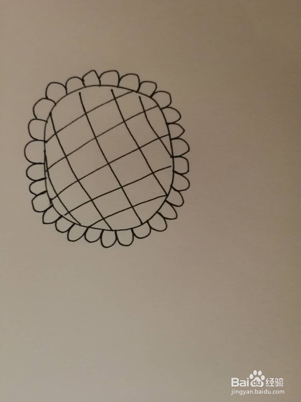 简笔画小向日葵